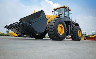 毛多多少妇污片视频